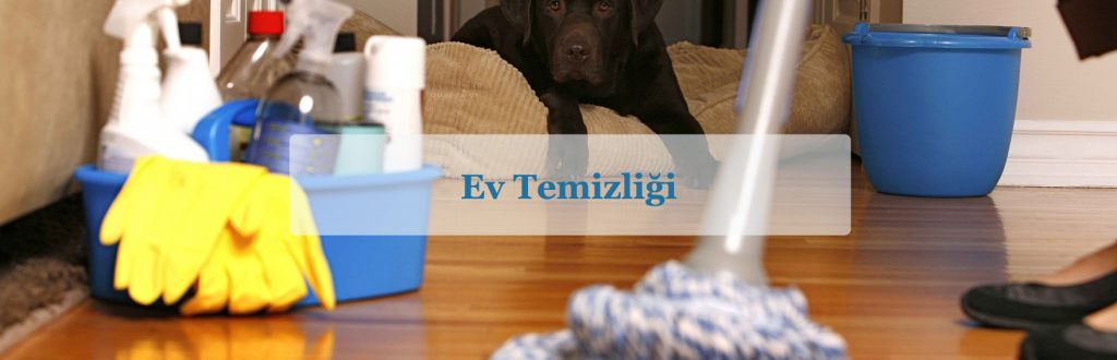 ev temizliği